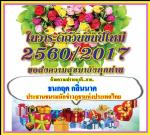 หวัดดีปีใหม่!2560 ครับผม!