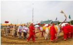  พระบาทสมเด็จพระวชิรเกล้า เจ้าอยู่หัว และ สมเด็จพระนางเจ้าฯ พระบรมราชินี พร้อมด้วย สมเด็จพระเจ้าลูกเธอ เจ้าฟ้าพัชรกิติยาภา นเรนทิราเทพยวดี เสด็จพระราชดำเนินเป็นองค์ประธานในงานพระราชพิธีพืชมงคลจรดพระนังคัลแรกนาขวัญ ประจำปี 2562 ณ มณฑลพิธี ท้องสนามหลวง พระโ